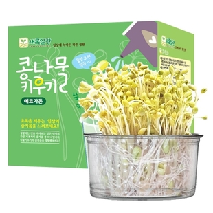 ��ǰ�����