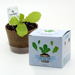 ��ǰ�����