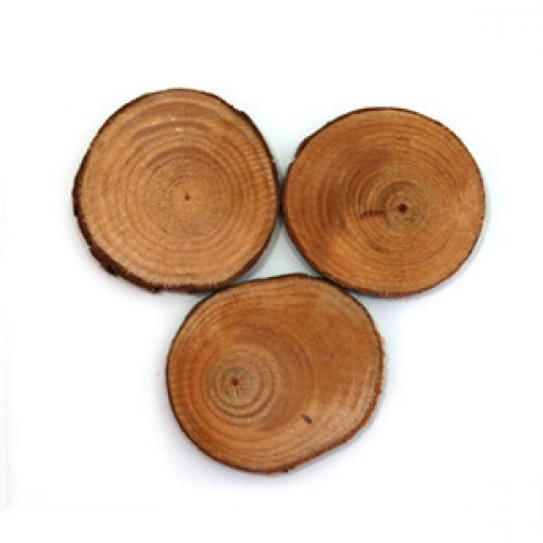 천연나무조각/나무재료 16번