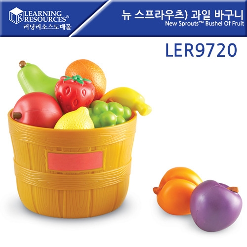 LER9720  )  ٱ New Sprouts Bushel Of Fruit