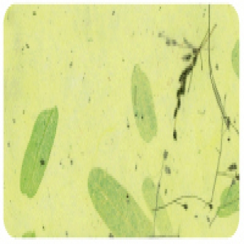 ��������2 ��ϼ��� 06