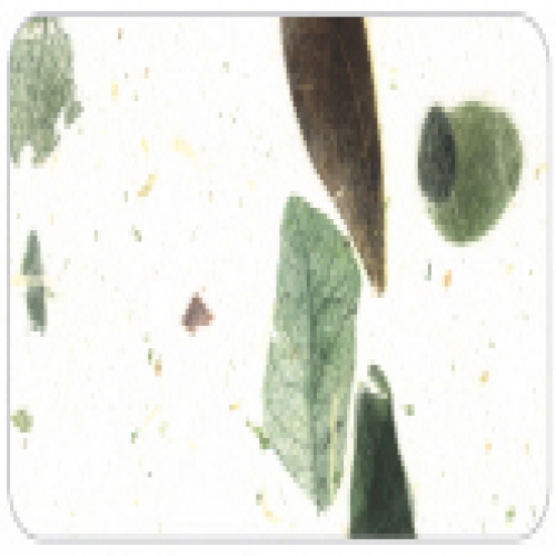 응용한지3 잎새지 05 흰색