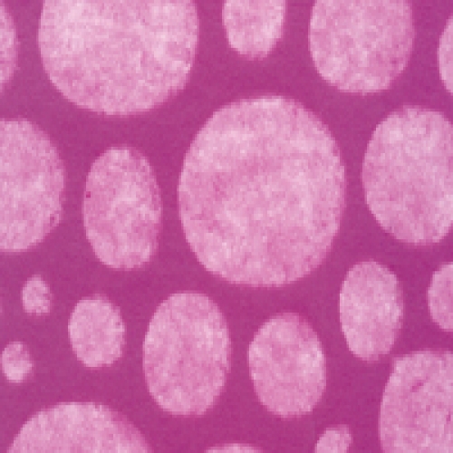 응용한지6 달무리지 01 진분홍