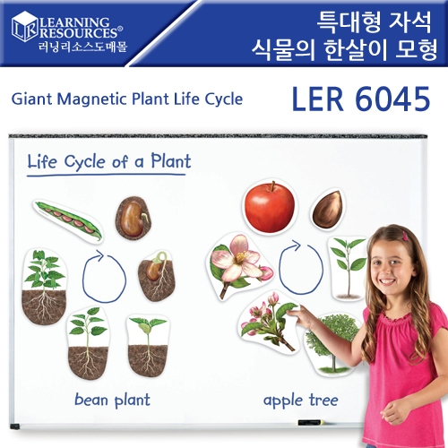 LER6045 Ư ڼ Ĺ ѻ 