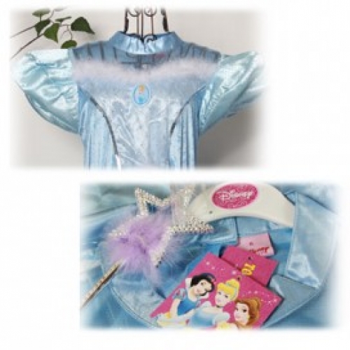 신데렐라(성인)의상+악세사리SET