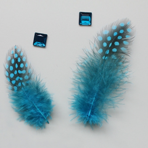 블루땡땡이깃털_10p