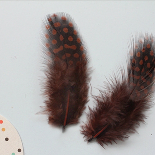 브라운땡땡이깃털_10p