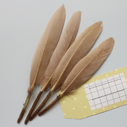 브라운카라멜리틀깃털_10p