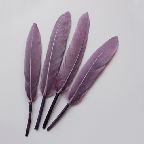 로지퍼플리틀깃털_10p