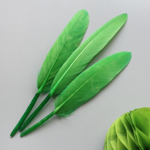 초록리틀깃털_10p