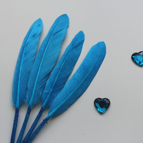 블루리틀깃털_10p