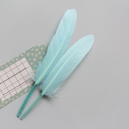 스카이블루리틀깃털_10p