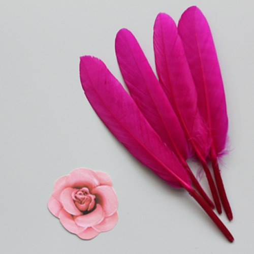 핫핑크리틀깃털_10p