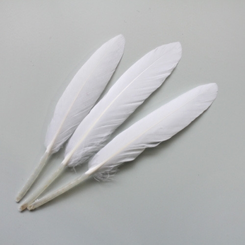 화이트리틀깃털_10p