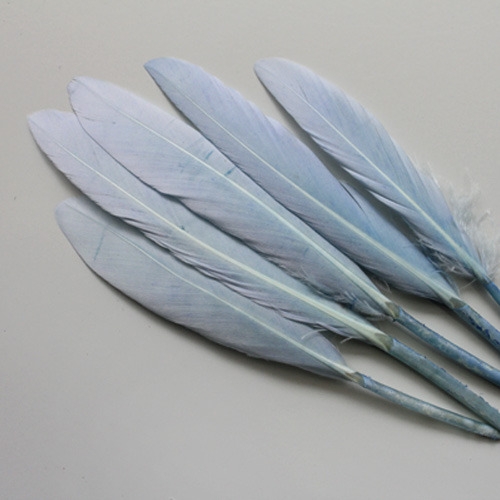 빈티지블루리틀깃털_10p