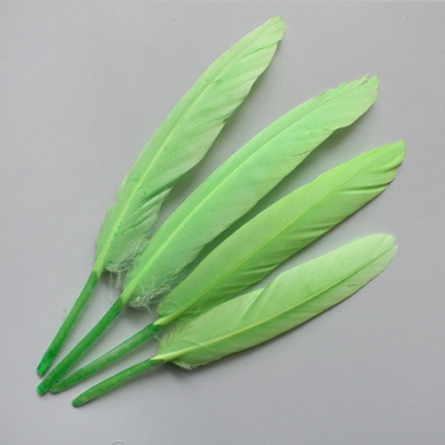 형광연두리틀깃털_10p