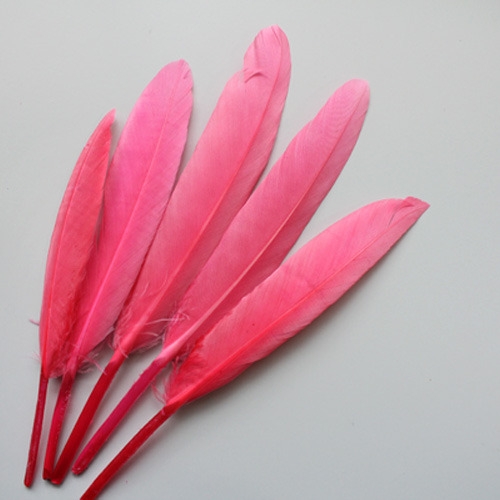 핑크리틀깃털_10p