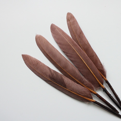 딥브라운리틀깃털10p