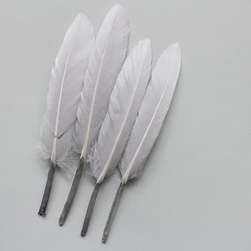 그레이리틀깃털_10p