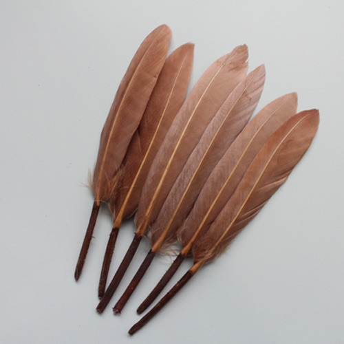 브라운리틀깃털_10p