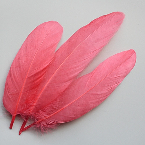 코랄핑크깃털_10p