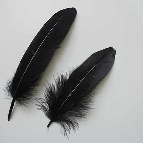 딥블랙깃털_10p