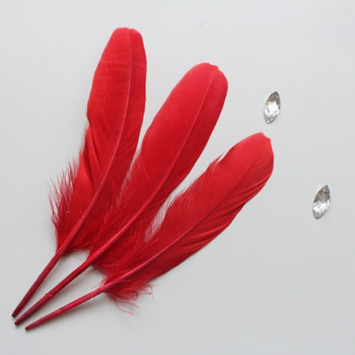 스트로베리깃털_10p