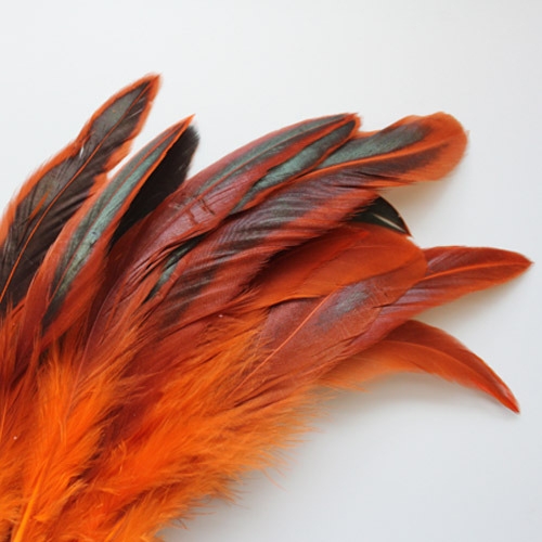 오렌지펑키깃털_30p