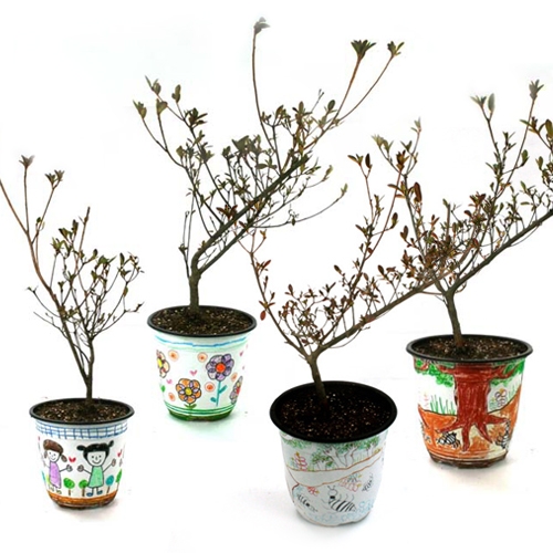 화분꾸미기(5ea)