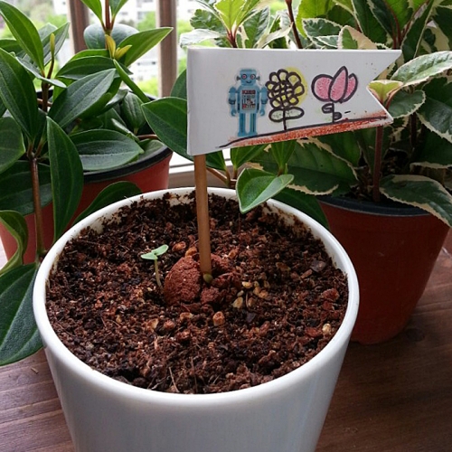 직접 꾸미는 나만의 씨드깃발