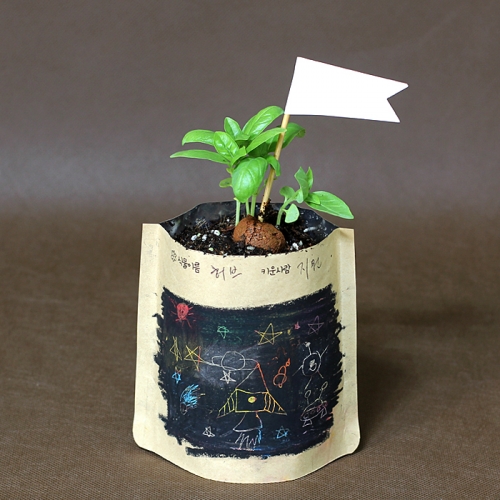 직접 꾸미는 그림봉투화분_나팔꽃