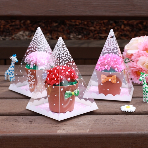 비누 카네이션 사각뿔 포장 세트(5인용)