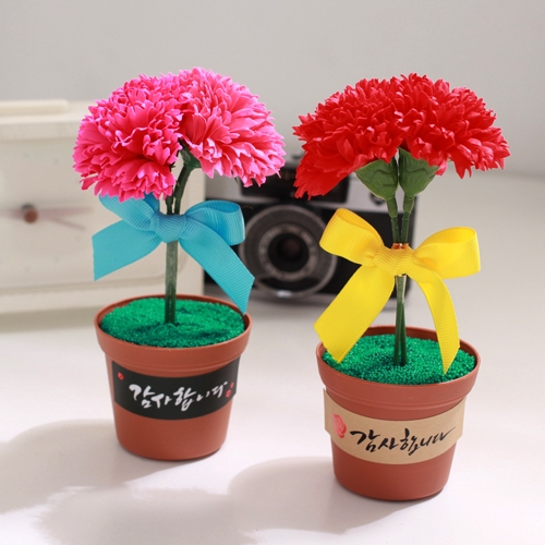 비누 카네이션 감사 화분(5인용)