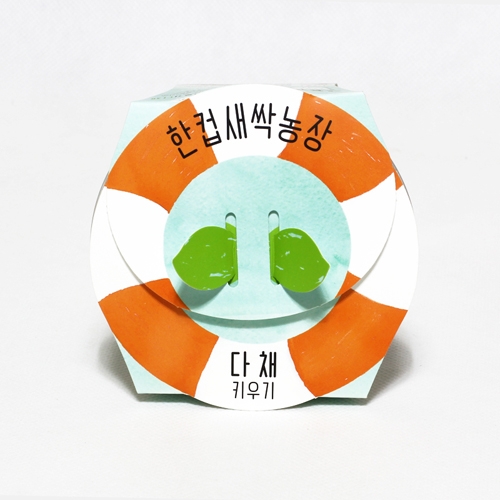 한컵새싹농장_다채키우기