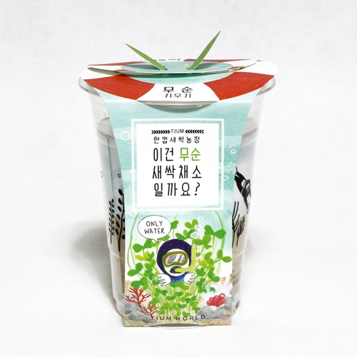 한컵새싹농장_무순키우기