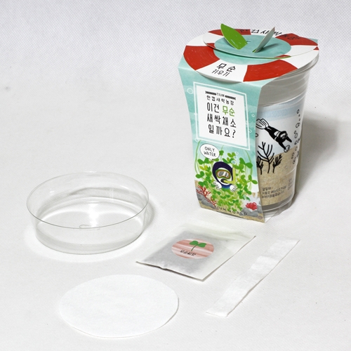 한컵새싹농장_무순키우기