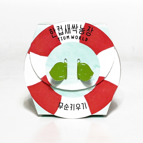 한컵새싹농장_무순키우기