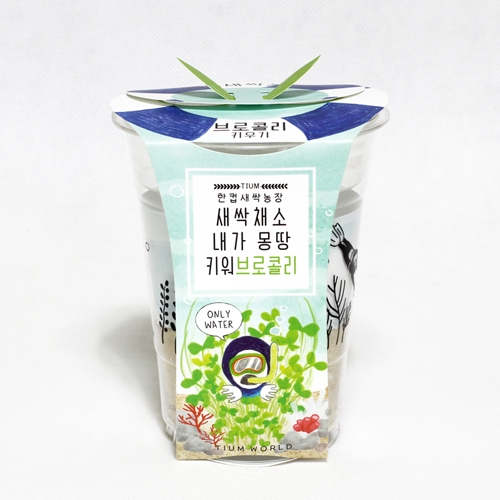 한컵새싹농장_브로콜리키우기