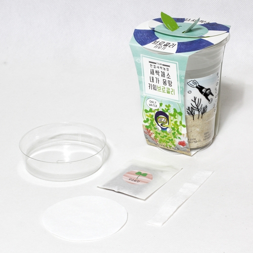 한컵새싹농장_브로콜리키우기