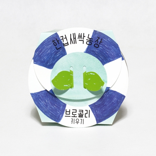 한컵새싹농장_브로콜리키우기