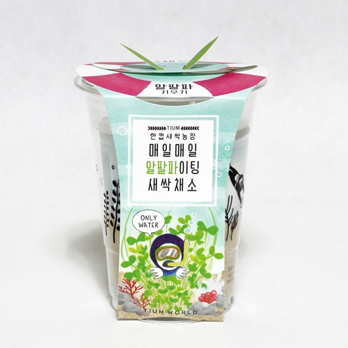 한컵새싹농장_알팔파키우기