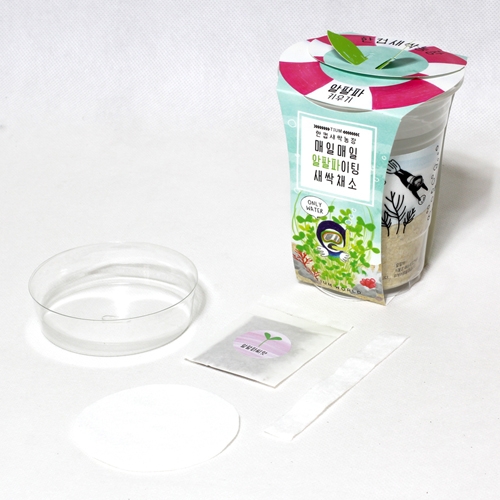 한컵새싹농장_알팔파키우기