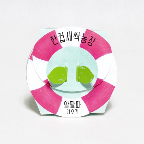 한컵새싹농장_알팔파키우기