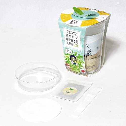 한컵새싹농장_유채키우기