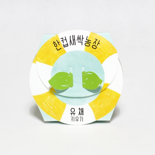 한컵새싹농장_유채키우기