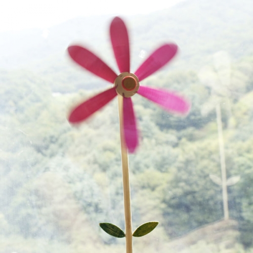 코스모스 바람개비