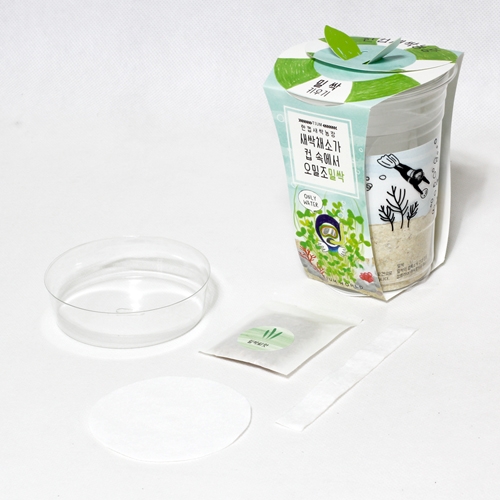 한컵새싹농장_밀싹키우기