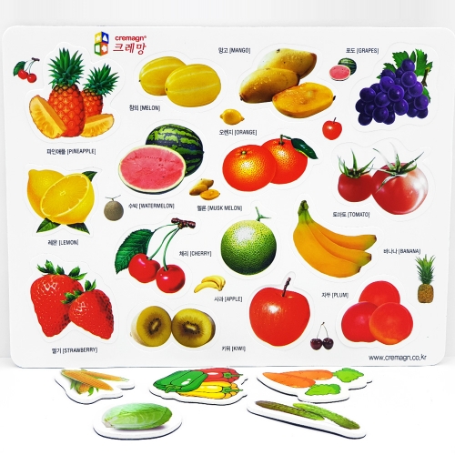 고무자석 그림판 동물 채소 공룡 과일 그림자석