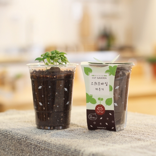 컵가든_스위트바질 키우기세트