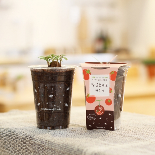 컵가든_방울토마토 키우기세트